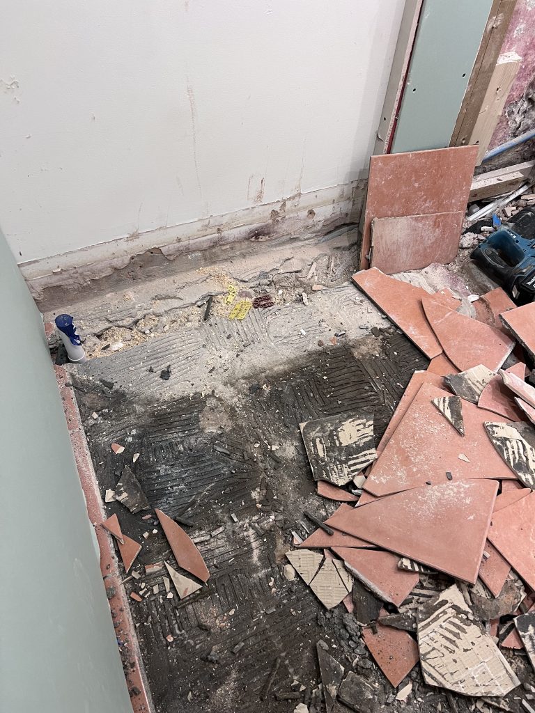 Transforming a Ground Floor Cloakroom into a Stunning Shower Room: A Step-by-Step Guide